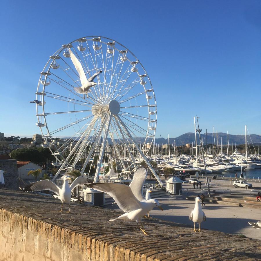 Tortue De Mer Antibes Esterno foto